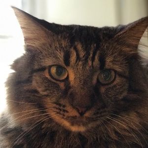 Meet your Posher :) 🎀